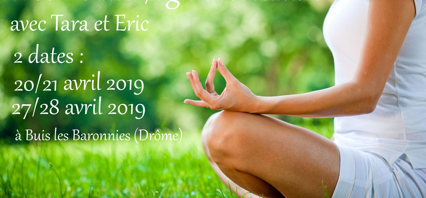 Stage Yoga et Escalade